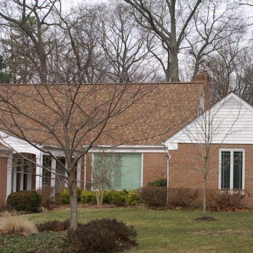 Main Gallery Image 28 | Gallery of Work