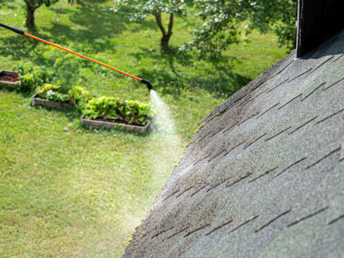 Roof moss removal