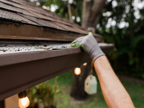 Cleaning gutter